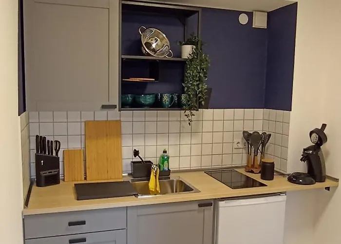 Zeisigwald - Balkon, Kueche, Wlan, Big Tv * Chemnitz